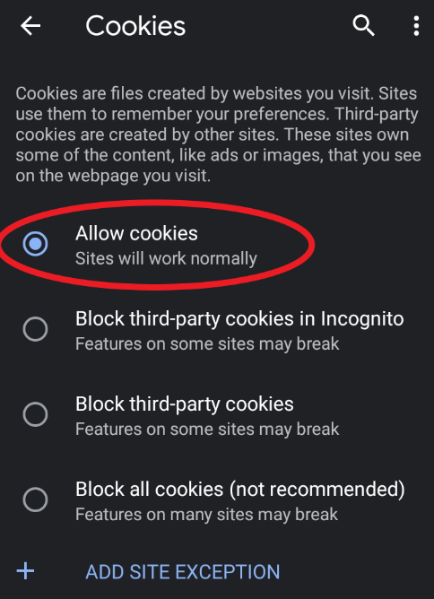 allow cookies google chrome