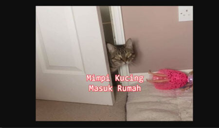 Mimpi kucing masuk rumah