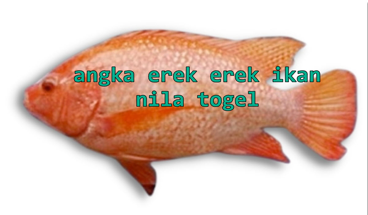 angka-erek-erek-ikan-nila-togel