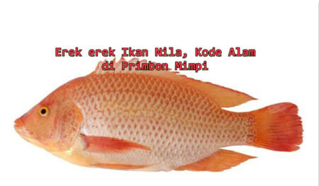 erek-erek-ikan-nila-kode-alam-di-primbon-mimpi erek erek ikan nila