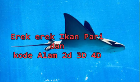 erek erek ikan pari