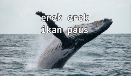 erek erek ikan paus