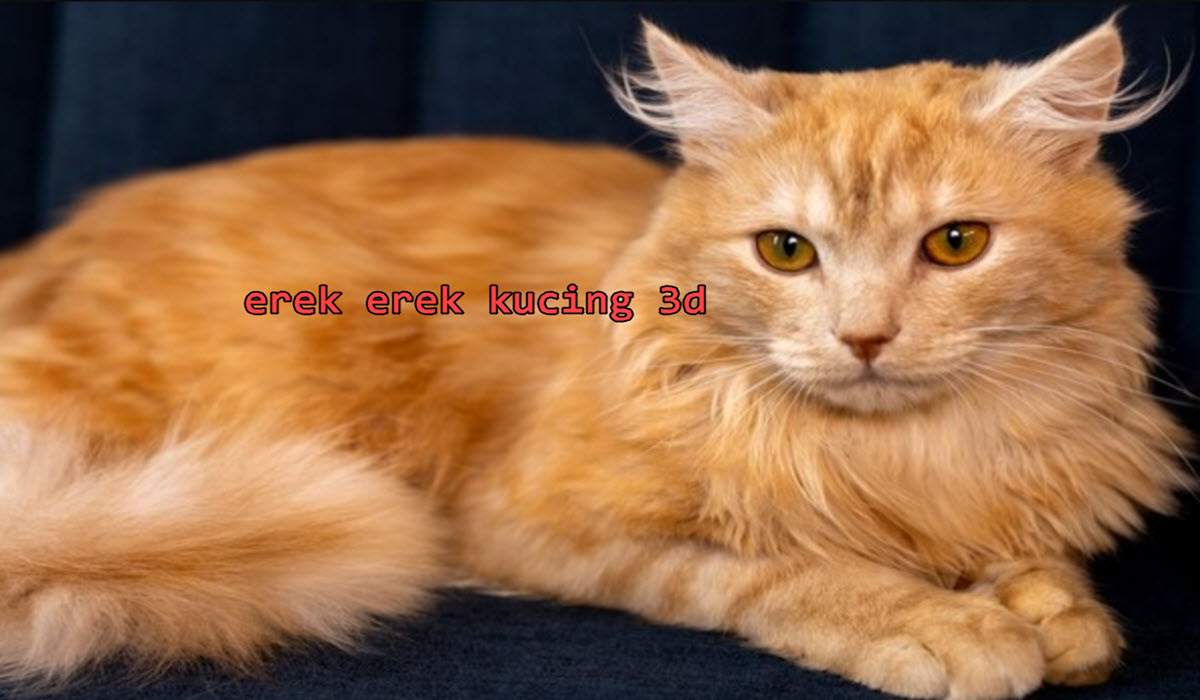 erek-erek-kucing-3d