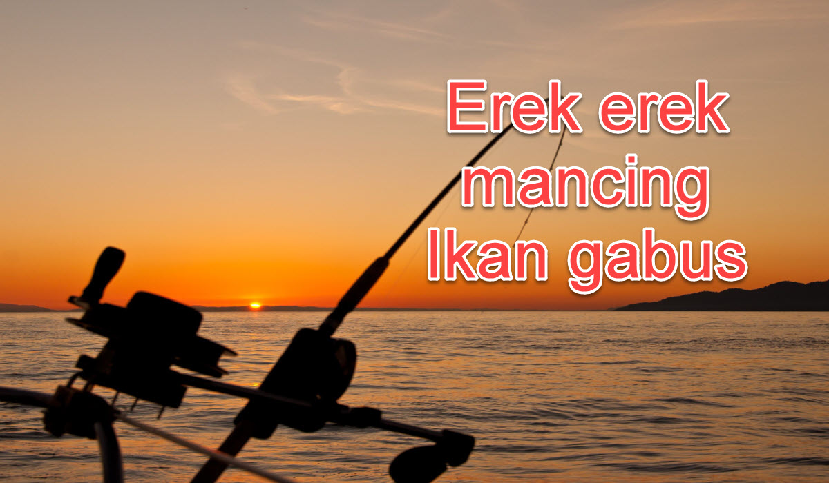 erek-erek-mancing-ikan-gabus