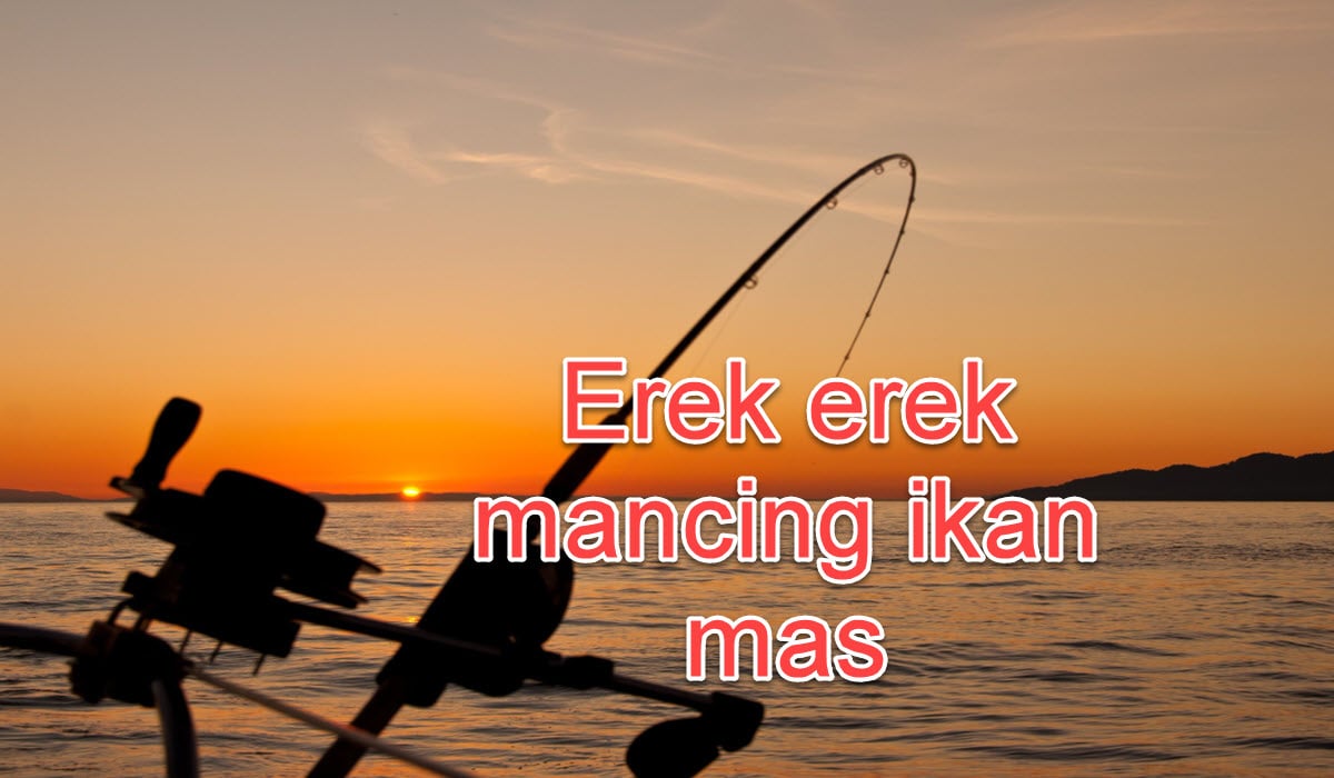 erek-erek-mancing-ikan-mas