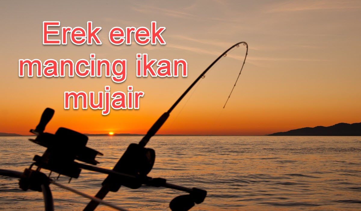 erek-erek-mancing-ikan-mujair