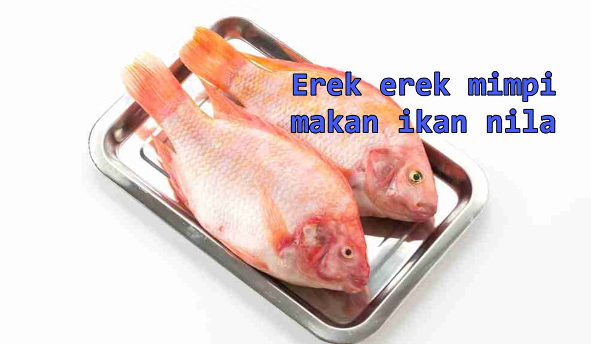 erek-erek-mimpi-makan-ikan-nila