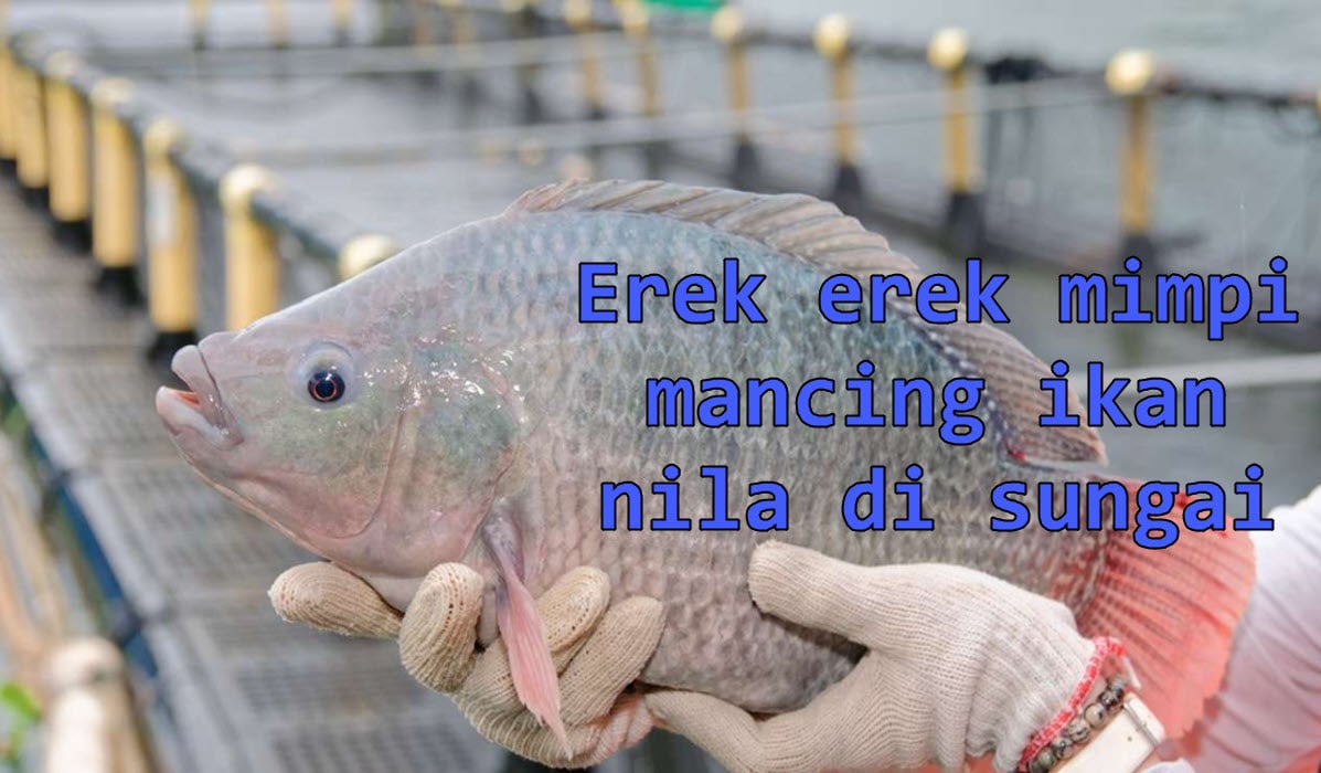 erek-erek-mimpi-mancing-ikan-nila-di-sungai