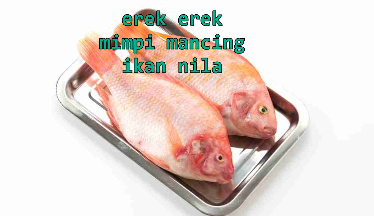 erek-erek-mimpi-mancing-ikan-nila
