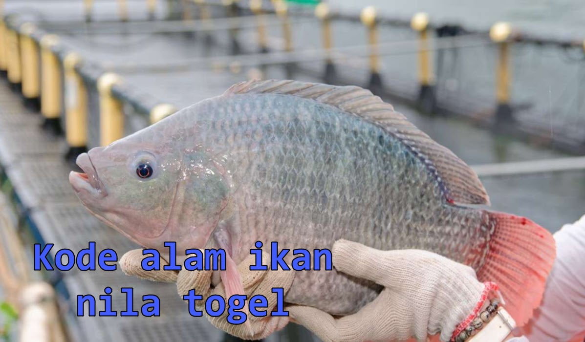 kode-alam-ikan-nila-togel
