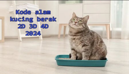 kode alam kucing berak 2d 3d 4d 2024