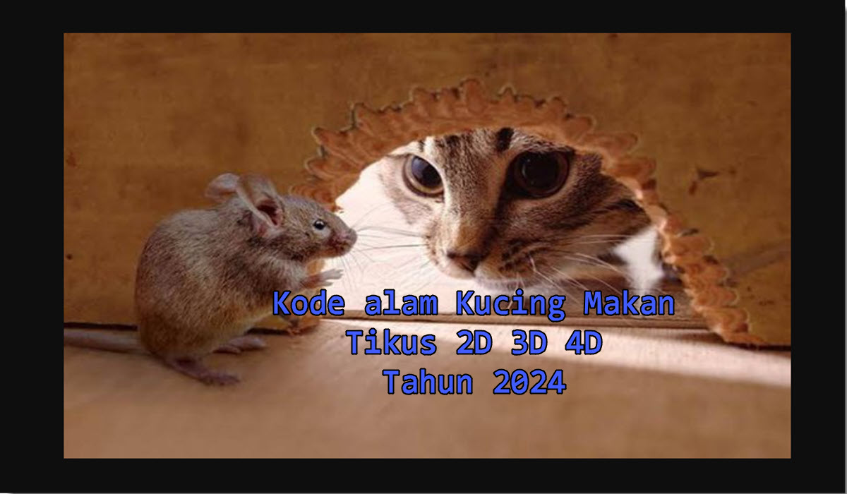 kode alam kucing makan tikus 2d 3d 4d 2024