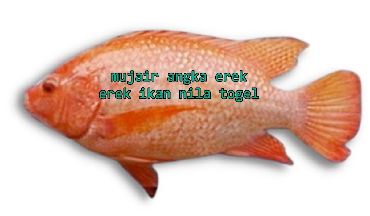 mujair-angka-erek-erek-ikan-nila-togel
