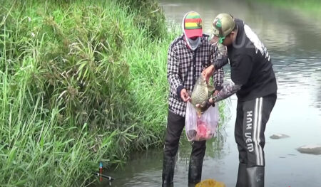 Erek erek mancing ikan nila