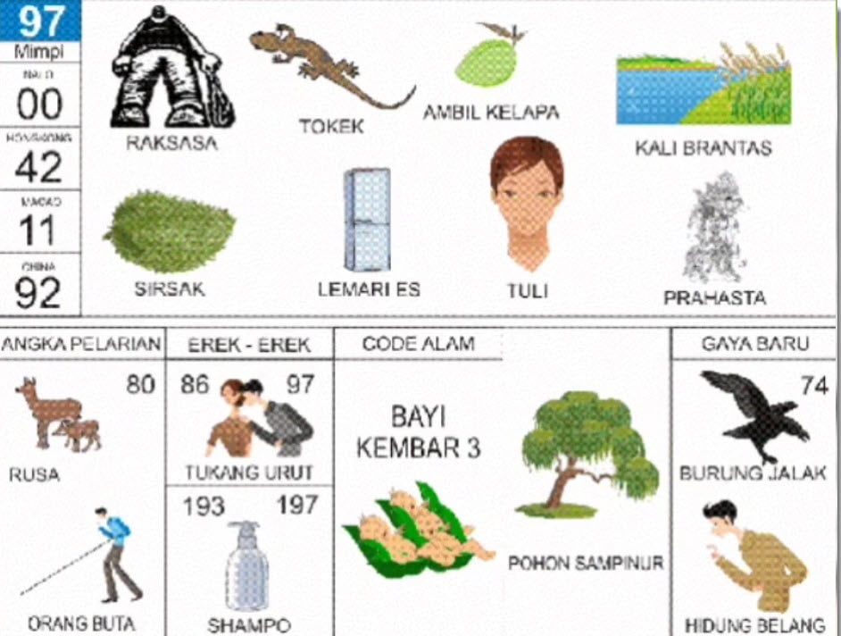erek erek tokek 2d bergambar